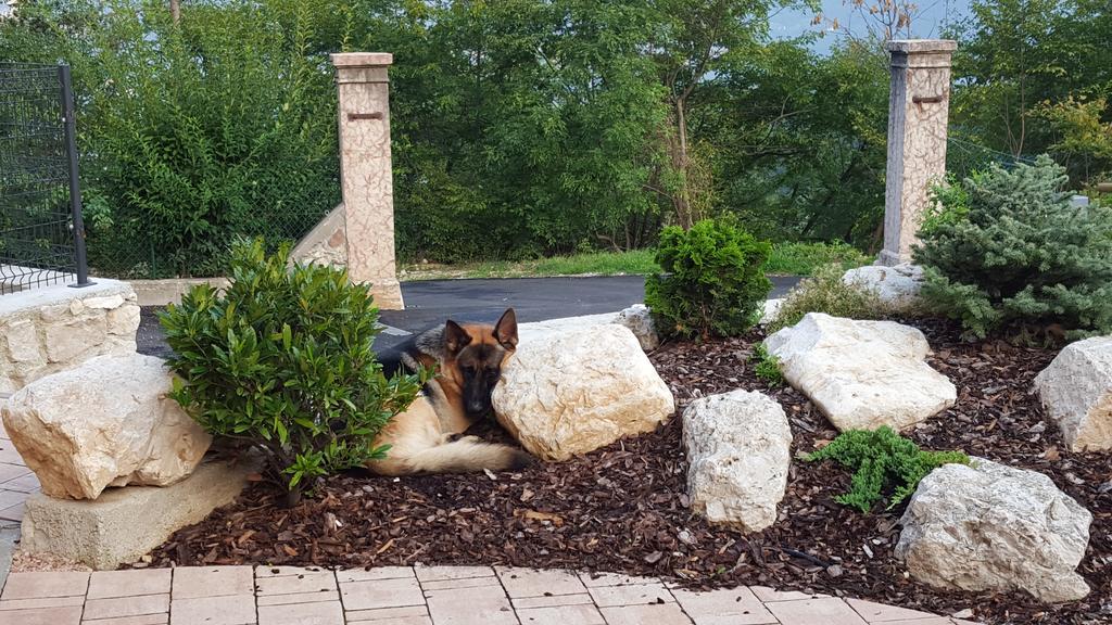 Agriturismo Al Maniero Тренто Экстерьер фото